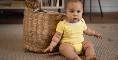 A-qué-edad-se-sientan-los-bebés