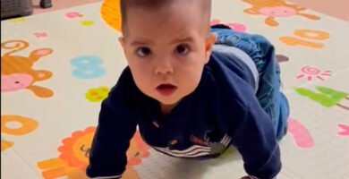 cuando empiezan a gatear los bebes