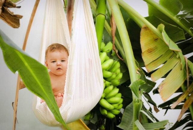 Hamaca para bebés para bebes 2 hamaca para bebes para bebes 1